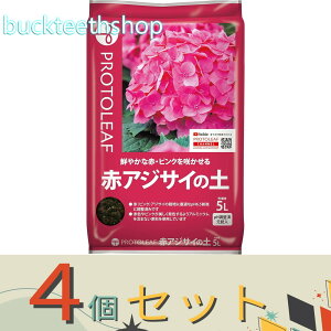 4Zbgvg[t@ԃAWTC̓y@5L