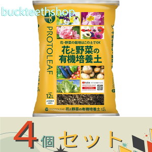 4Zbgvg[t@ԂƖ؂̗L@|{y@12L