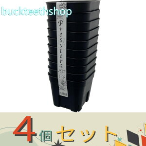 4ZbgAbvEGA@vXe105@10gubN@y80z4539920901730