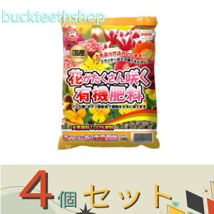 4Zbgij@Ԃ炭L@엿@500g