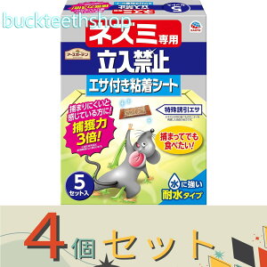 4ZbgA[X@lY~p֎~GTtSV[g5Zbgy14z4901080047519