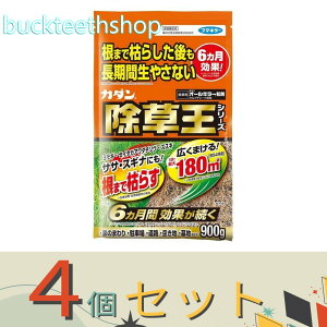 4Zbgt}L[Ё@J_I[L[܁@900g@y12z4902424450088