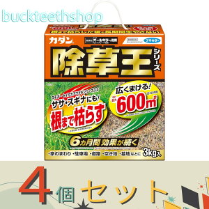 4Zbgt}L[Ё@J_I[L[܁@3kg@y6z4902424450101