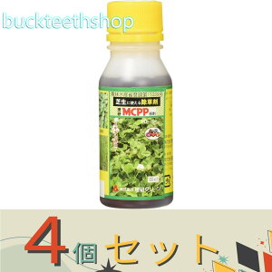 4ZbgijO[@MCPPt܁@100ml