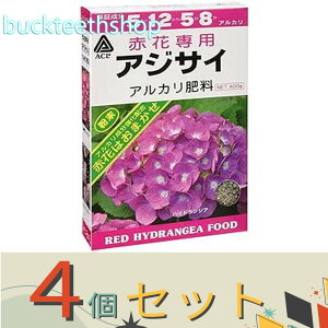 4ZbgijA~m[wi^LC@ԃAWTC@p엿@400g