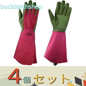 4ZbgijaR[|@EFXgJEeB[[Y@r[@XS@iaj