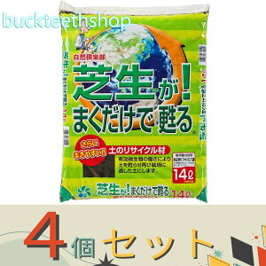 4ZbgRpȊwij@ŐI܂S@14LiRj