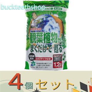 4ZbgRpȊwij@ϗtAI܂S@1D2L