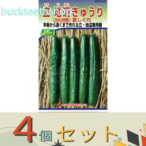 4ZbgJlRc@^l@nイ@Ă