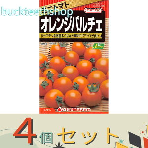 ��4�Z�b�g���J�l�R��c�@�^�l�@�~�j�g�}�g�@�I�����W�p���`�F