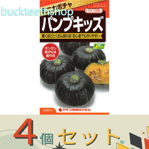 4ZbgJlRc@^l@~jڂ@pvLbY