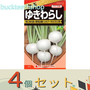 4ZbgJlRc@^l@ԁ@䂫炵