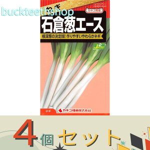 4ZbgJlRc@^l@˂@ΑqKG[X