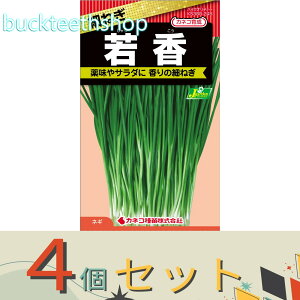 4ZbgJlRc@^l@ׂ˂@ፁij