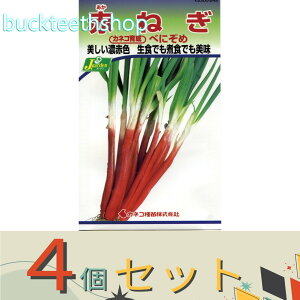 ��4�Z�b�g���J�l�R��c�@�^�l�@�Ԃ˂��@�ׂɂ���