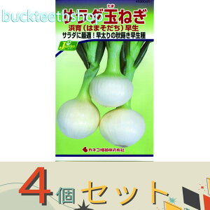 4ZbgJlRc@^l@T_ʂ˂@l@