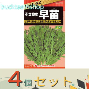 4ZbgJlRc@^l@񂬂@tVe@ciȂj