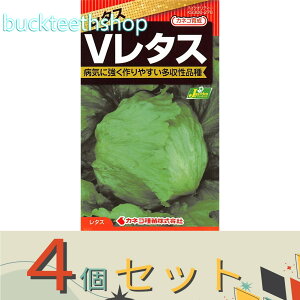 4ZbgJlRc@^l@^X@ViBj^X