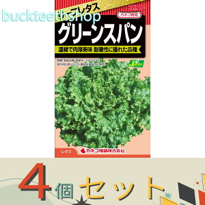 4ZbgJlRc@^l@[t^X@O[Xp