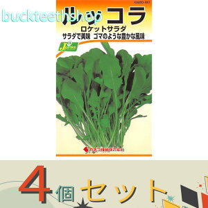 4ZbgJlRc@^l@bR@PbgT_