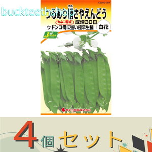 4ZbgJlRc@^l@邠茦₦ǂ@30@iԁj