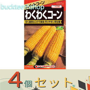 4ZbgJlRc@^l@XC[gR[@킭킭R[@i82j