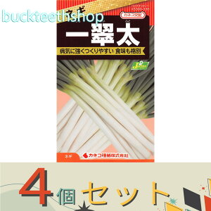 4ZbgJlRc@^l@lM@ꐉ