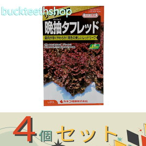 4ZbgJlRc@^l@^X@Ӓ^tbh