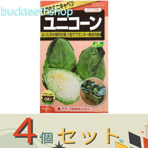 4ZbgJlRc@^l@Lxc@jR[