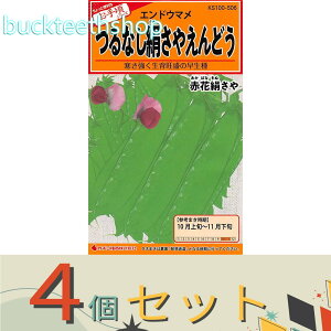 4ZbgJlRc@^l@Ȃǂ@ԉԌ