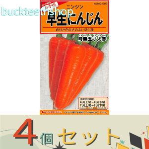 4ZbgJlRc@^l@ɂ񂶂@ܐlQ