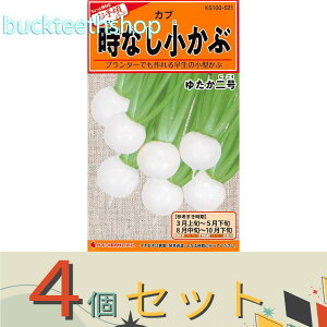 4ZbgJlRc@^l@ԁ@Ȃԁ@䂽2