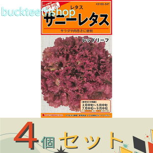 ��4�Z�b�g���J�l�R��c�@�^�l�@�T�j�[���^�X�@���b�h���[�t