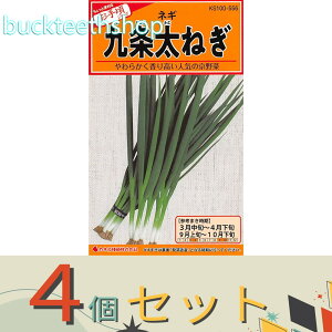 4ZbgJlRc@^l@𑾂˂