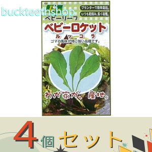 4ZbgJlRc@^l@xr[[tQxr[Pbg@bR