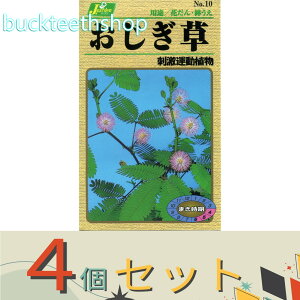 ��4�Z�b�g���J�l�R��c�@�^�l�@��������