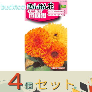 4ZbgJlRc@^l@񂹂ԁ@֍E