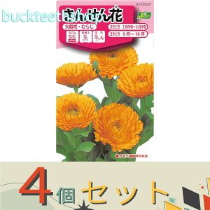 4ZbgJlRc@^l@񂹂ԁ@֍Eނ炶