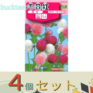 ��4�Z�b�g���J�l�R��c�@�^�l�@����g�@����