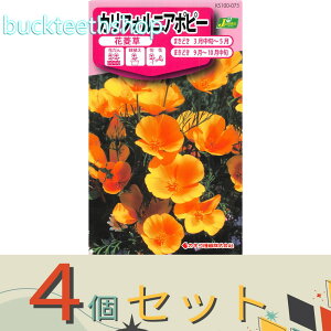 4ZbgJlRc@^l@JtHjA|s[@ԕH