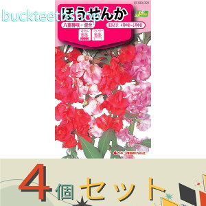 ��4�Z�b�g���J�l�R��c�@�^�l�@�ق����񂩁@���d�֍�E����