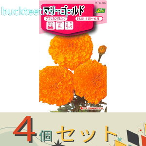 ��4�Z�b�g���J�l�R��c�@�^�l�@�}���[�S�[���h�@�A�t���J���I�����W