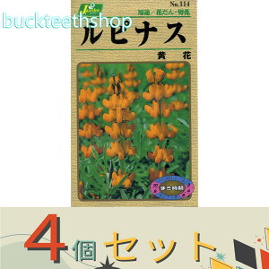 4ZbgJlRc@^l@siX@