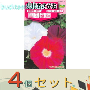 ��4�Z�b�g���J�l�R��c�@�^�l�@�_�����������@�_���p�E����