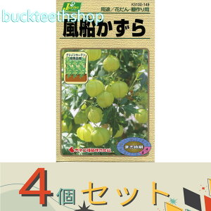 ��4�Z�b�g���J�l�R��c�@�^�l�@���D������