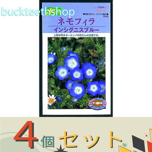 4ZbgJlRc@^l@ltB@CVOjXu[