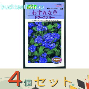 4ZbgJlRc@^l@킷ȑ@h[tu[