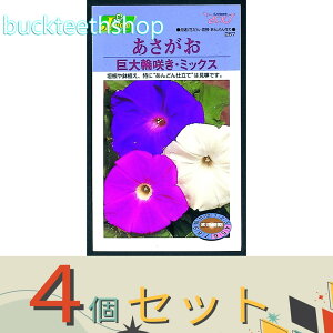 ��4�Z�b�g���J�l�R��c�@�^�l�@���������@����֍炫�E�~�b�N�X