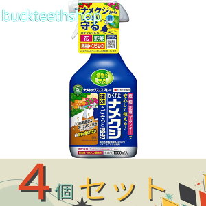 4ZbgZFw|ij@igbNXXv[1000ml@y15z4975292604501