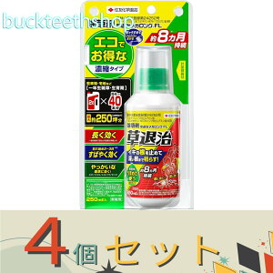 4ZbgZFw|ij@VjގKOFL250ml@y30z4975292604648